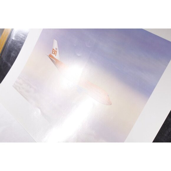 Bright Red Braniff International plane travel poster 16x20" on pastel sky, - Picture 4 of 5